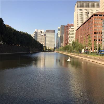 2023管家婆资料正版大全澳门手机app下载