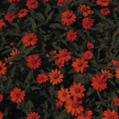 双赢彩票官方网站